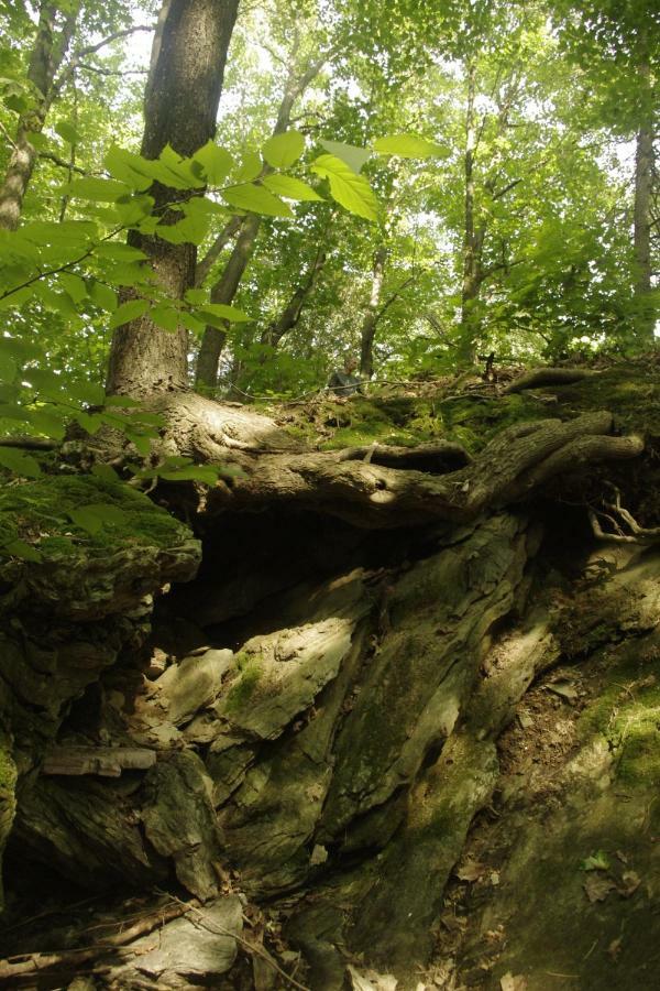 Gite Au Pied Des Appalaches Sainte-Sophie-D'Halifax Exteriér fotografie